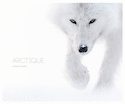 Arctique